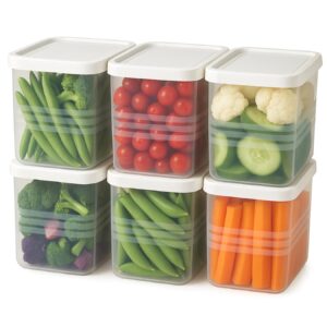 Best Stackable Fridge Storage Containers ( 6 per package)
